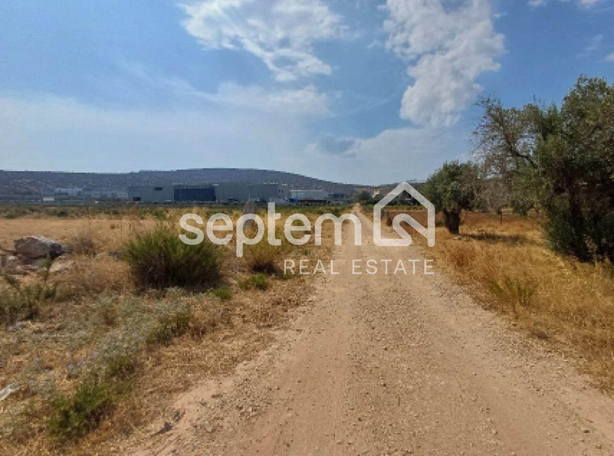 property-img